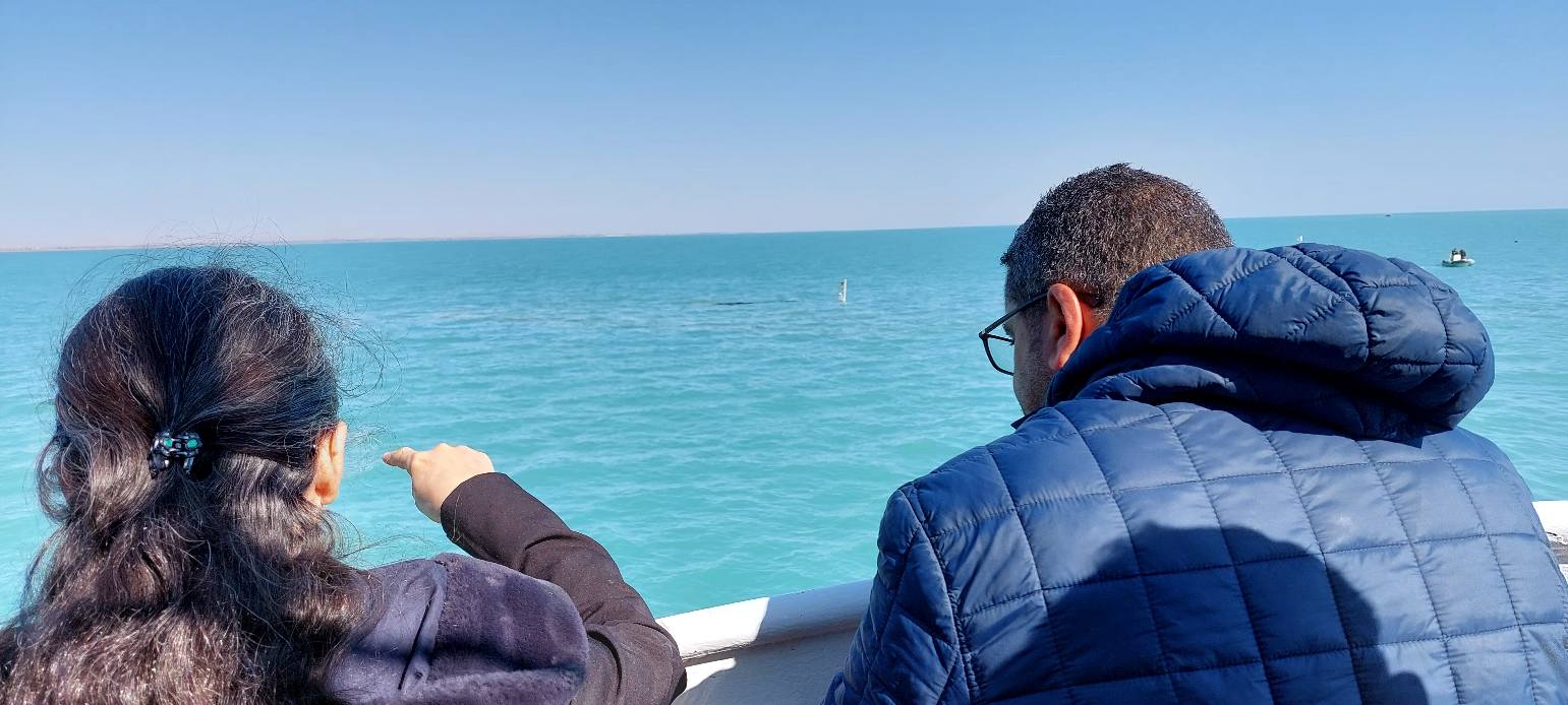 تفاديا لكارثة بيئية/ “غرينبيس” تدعو إلى تدخل السلطات السريع بقابس