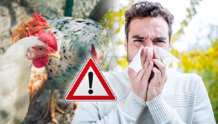 رصد أوّل إصابة بأنفلونزا الطيور لدى البشر في هذا البلد