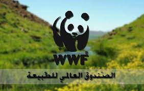 الصندوق العالمي للطبيعة يدعو تونس إلى تحيين معطياتها بعد غرق “أكسيلو”