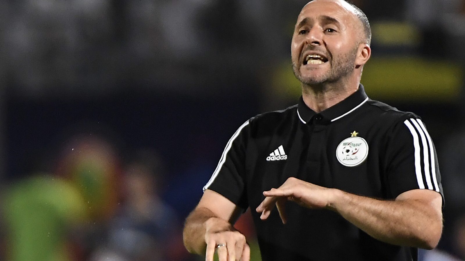 الجزائر/ بالماضي يواصل مهامه مدرّبا للمنتخب