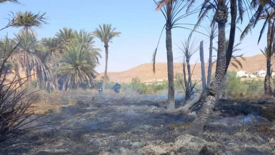 تطاوين/ حريق في واحة وفتح تحقيق