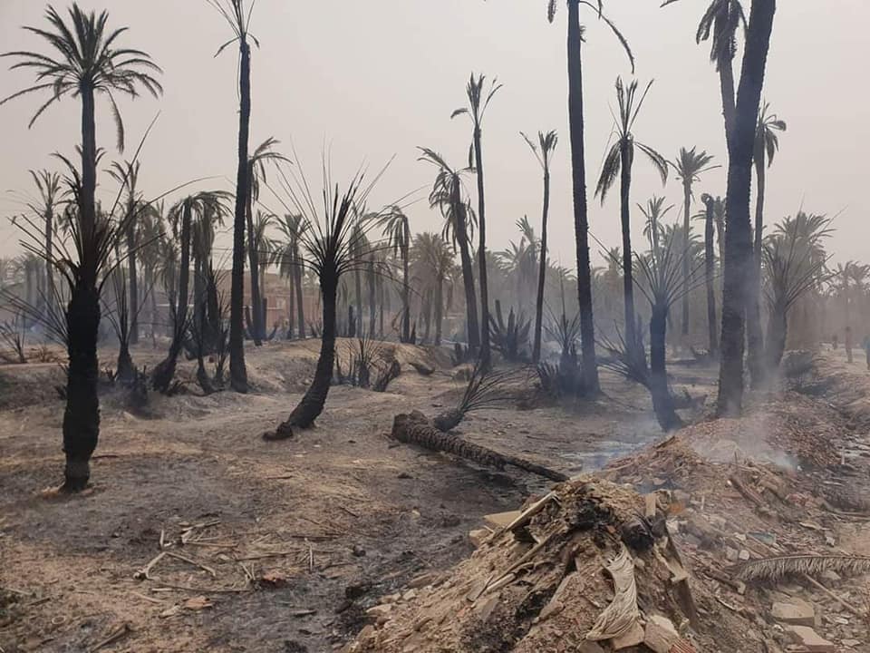 السيطرة على 4 حرائق في واحات متجاورة في قابس