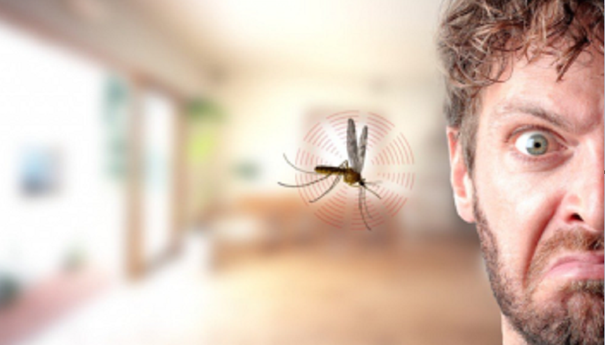 لماذا يترك الناموس كل المنزل.. ويحلو له أن “يزن” عند أذن الإنسان؟