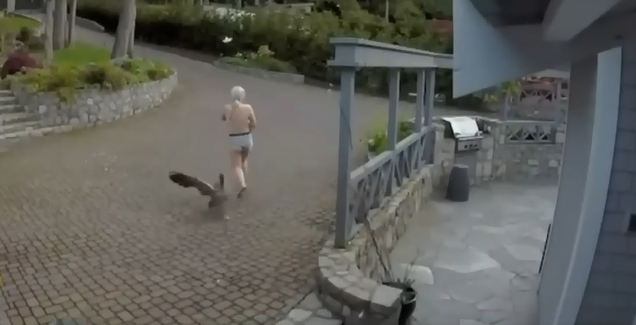 شاهد الفيديو/ كانت ترضع ابنتها.. أم تركض شبه عارية خارج منزلها لإنقاذ إوزة