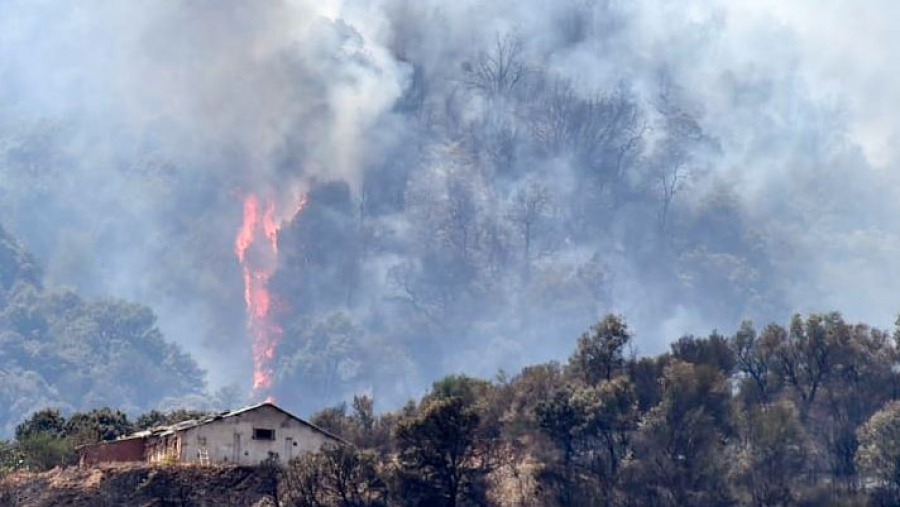الجزائر/ قتلى ومصابون في حرائق بغابات سطيف