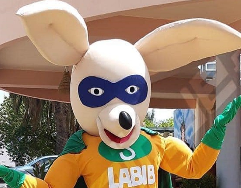 لبيب يعود في شكل “سارق”