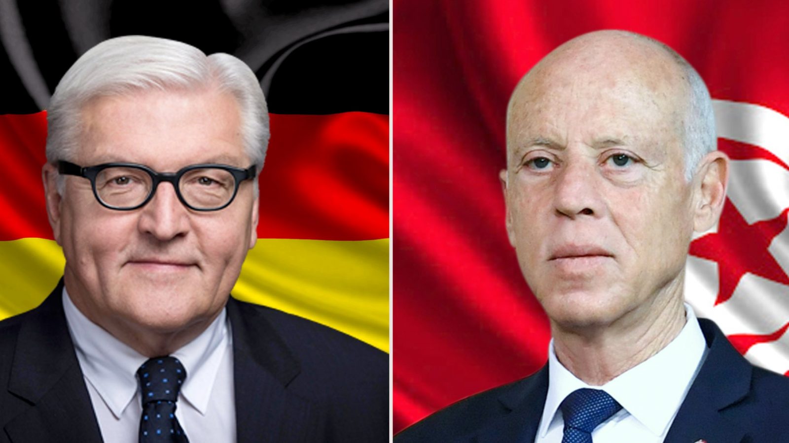 إتصال هاتفي بين سعيّد والرئيس الألماني حول هذه الملفّات