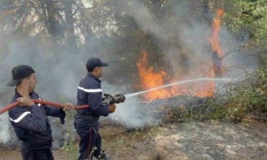 منزل بوزلفة/ اندلاع حريق في عدد من الضيعات الفلاحية
