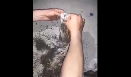 فيديو/ إمرأة تحاول وضع “سحر” في مقبرة بالكرم