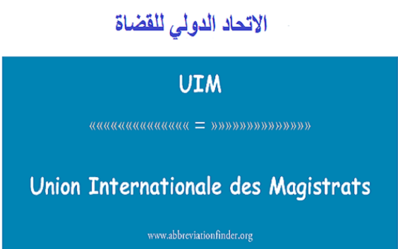 هيئة الرؤساء للإتحاد الدولي للقضاء ترفض إعفاء القضاء دون ضمانات قانونية