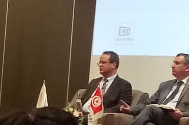 الميساوي: صعوبات بشرية ولوجستية واجهت هيئة الانتخابات قبل الاستفتاء