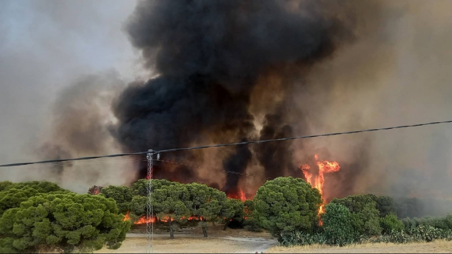 خلال يومين فقط/ حرائق تندلع في 8 ولايات