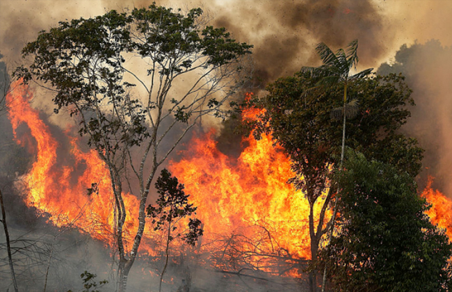الكاف/ حريق بغابة متاخمة لمركز تجميع نتائج الاستفتاء