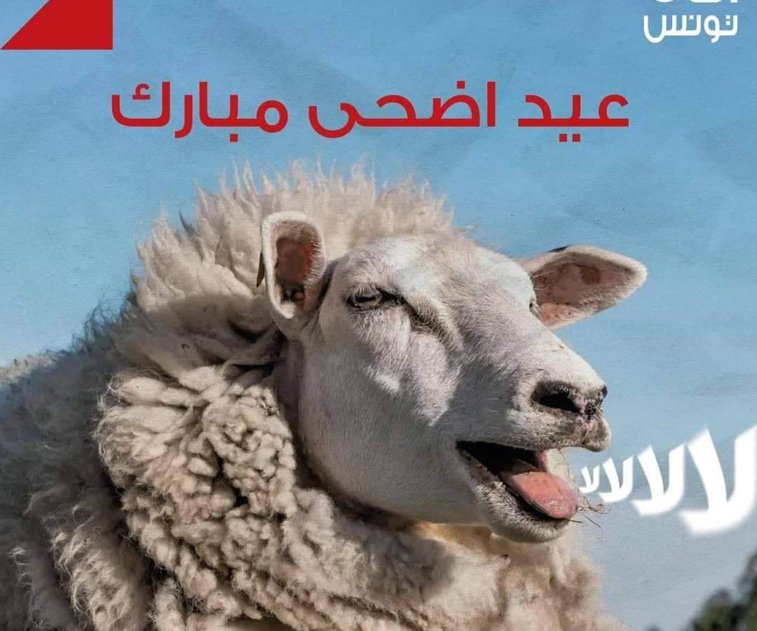 شاهد/ آفاق تونس يهنئ على طريقته التونسيين بعيد الأضحى