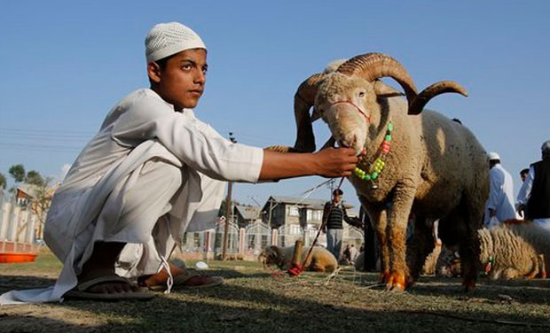 اليوم عيد الاضحى في هذه الدّول