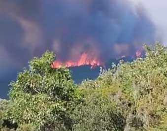 حريق بغابة سجنان يهدّد متساكني المنطقة (فيديو)