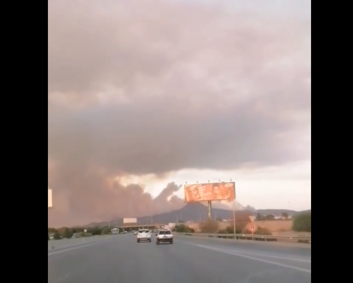 السيطرة على حريق الغابات المحاذية لمحطّة الاستخلاص بمرناق