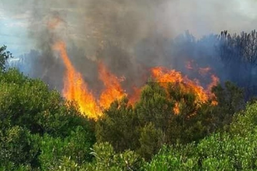 صور/ حريق بجبل “المسيد” بنفزة