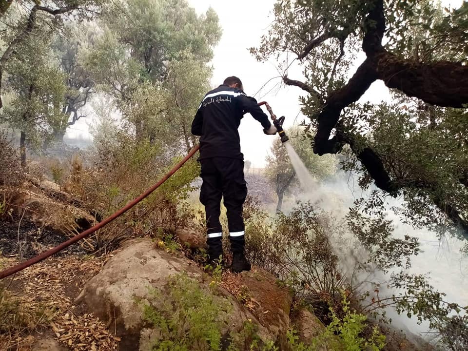جندوبة/ السيطرة على 70% من الحرائق