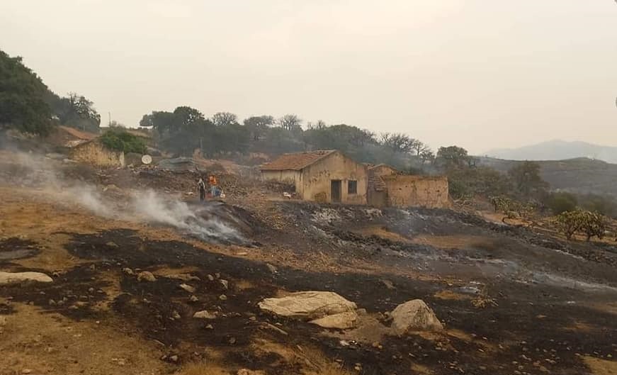 باجة/ حريق جبل المسيد يأتي على هذه المساحة من الغطاء النباتي