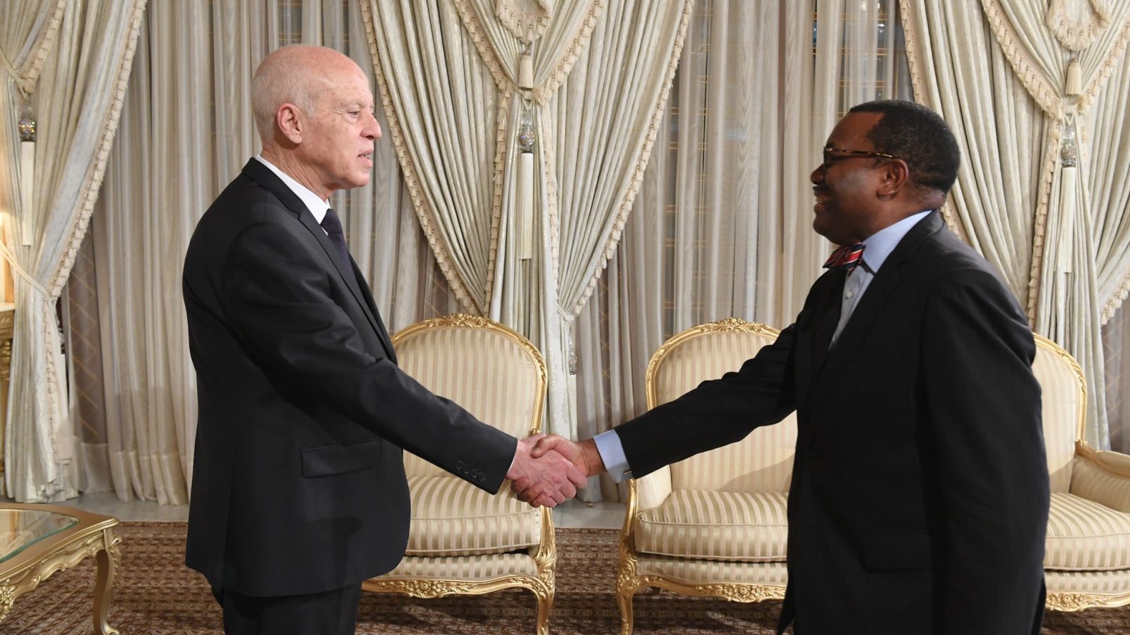 تمويل مشاريع محور لقاء سعيد برئيس مجموعة البنك الافريقي للتنمية