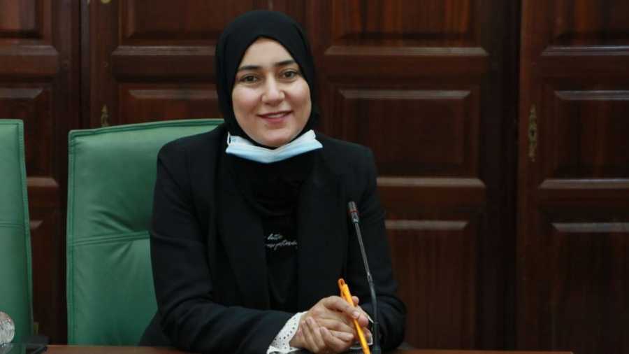 التيار الديمقراطي: منع نائبة من تجديد جواز سفرها