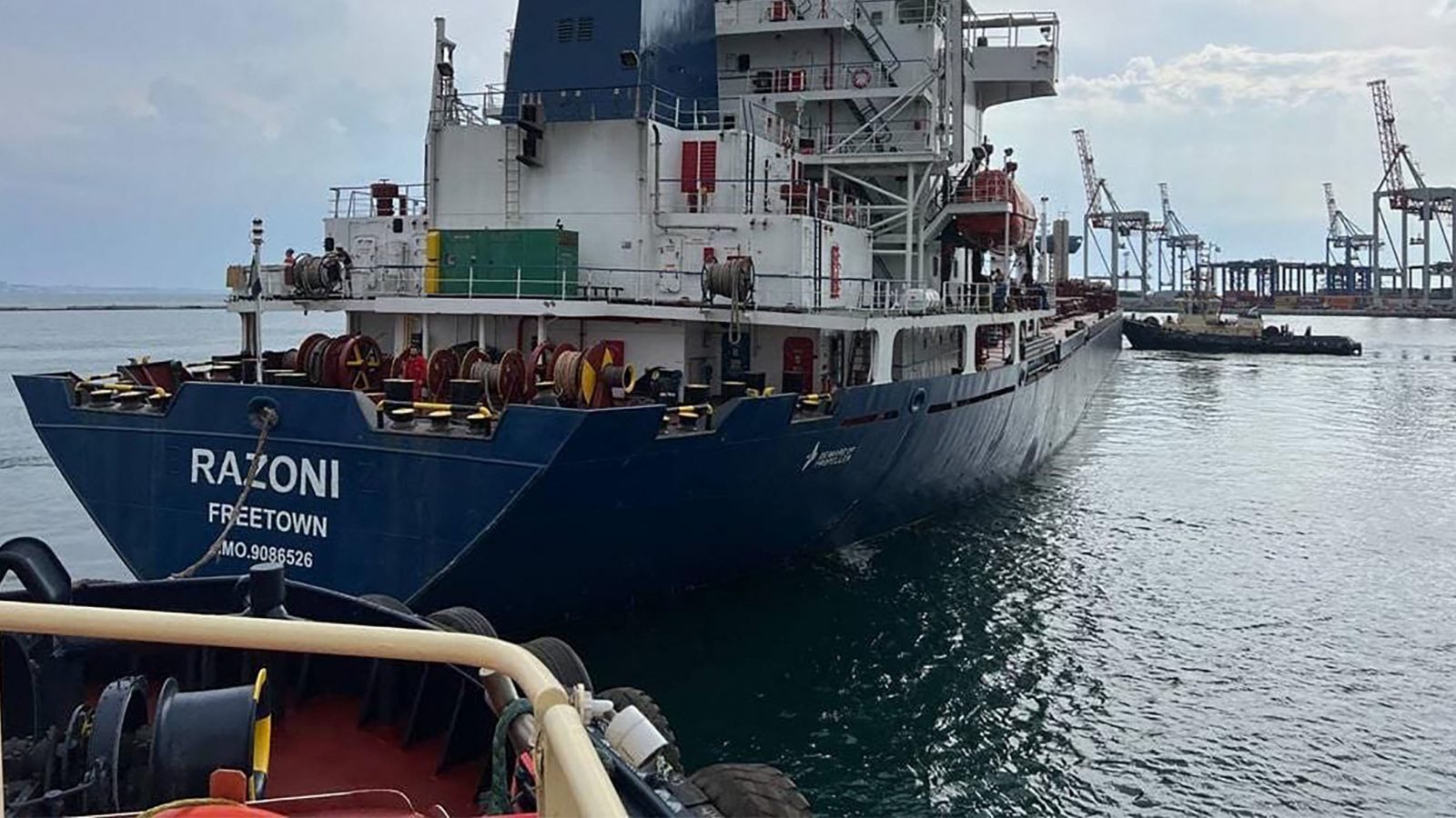 الأولى بعد الاتفاق/ سفينة حبوب أوكرانية ترسو في ميناء عربي