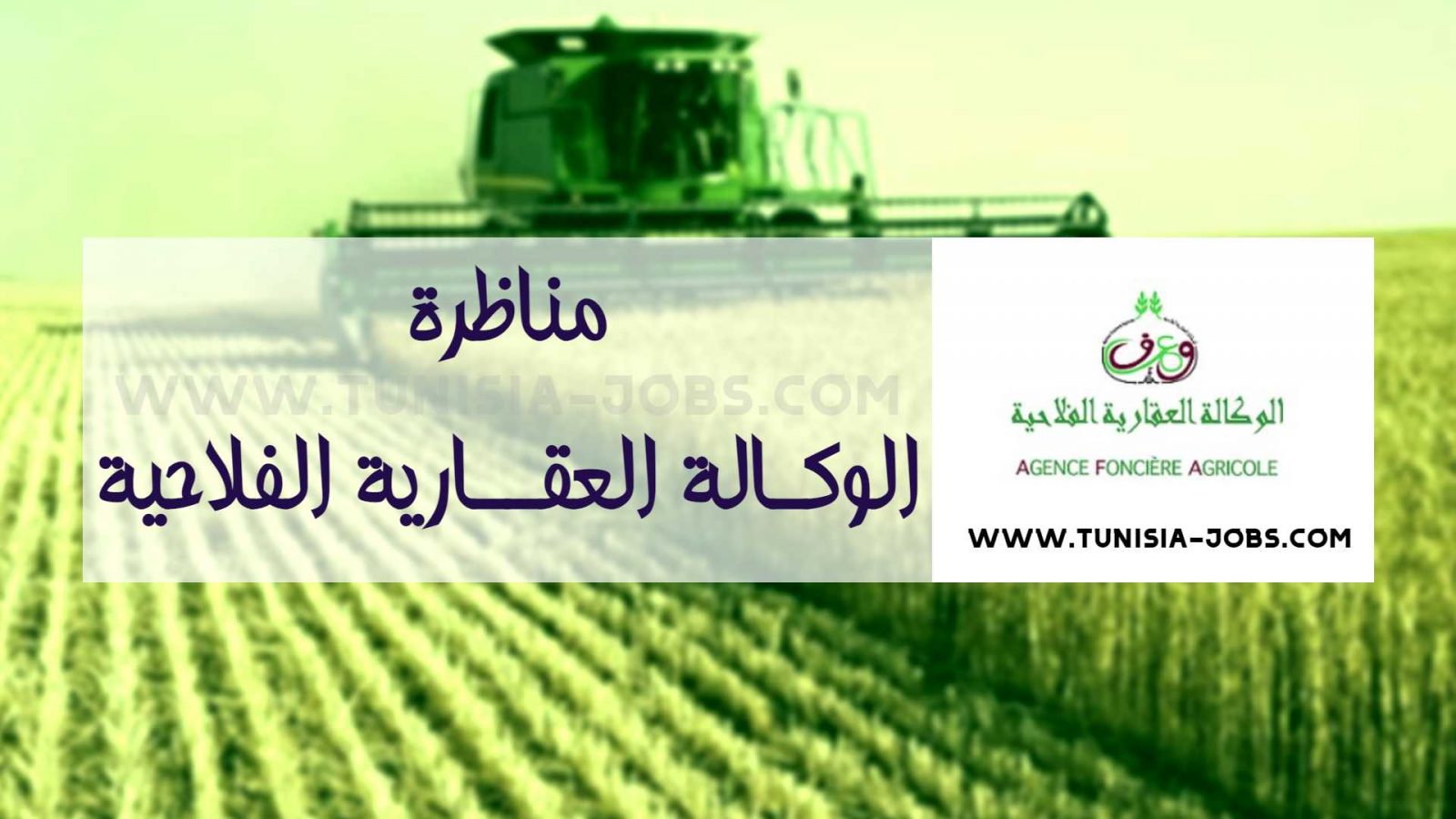 الوكالة العقارية الفلاحية تفتح باب الانتداب في هذه الاختصاصات (وثائق)