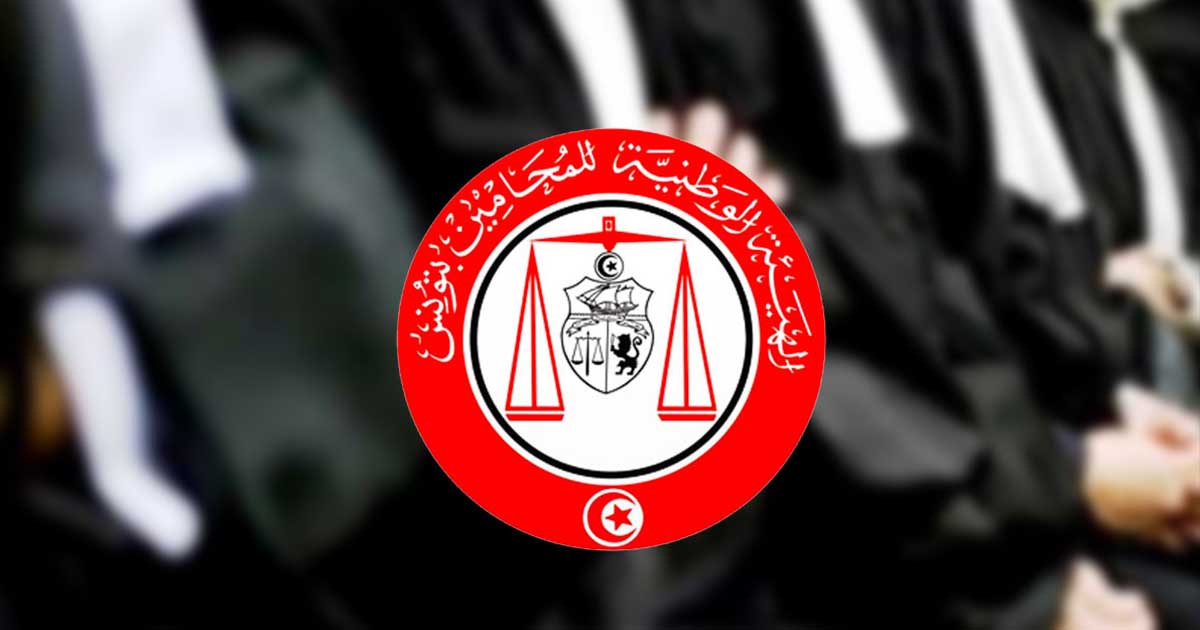 نتائج انتخابات فروع هيئة المحامين.. الدفعة الأولى