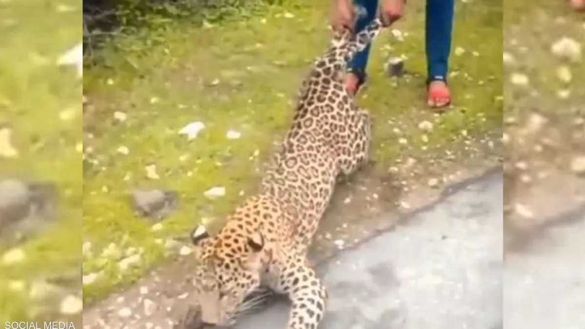 أثار غضب رواد مواقع التواصل/ شاهد فيديو يوثّق تعذيب فهد