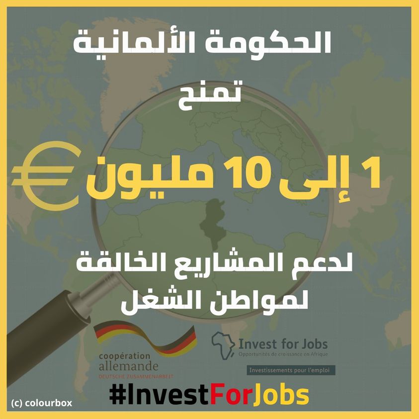 سفارة ألمانيا بتونس تعرض منحا استثمارية للأفراد