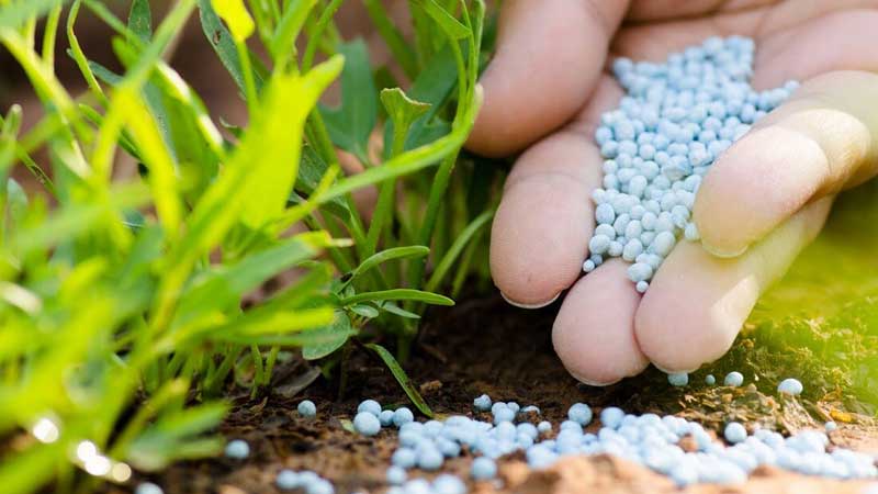 المجمع الكيماوي يرد على بيان اتحاد الفلاحين حول الأسمدة