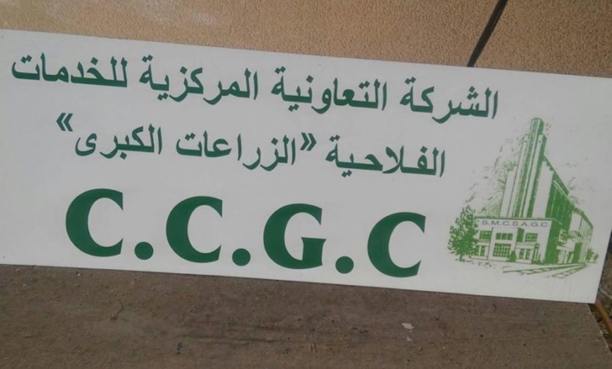 إقرار الإضراب بيومين في شركة الزراعات الكبرى