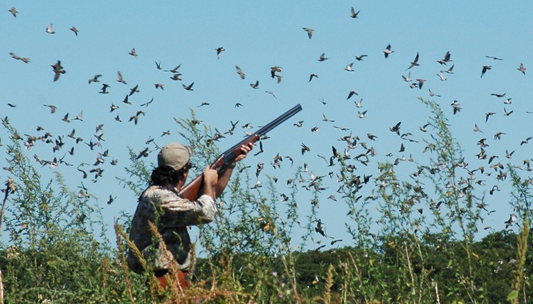 زغوان/ ايداع شخص السجن بسبب الحيوانات المحميّة