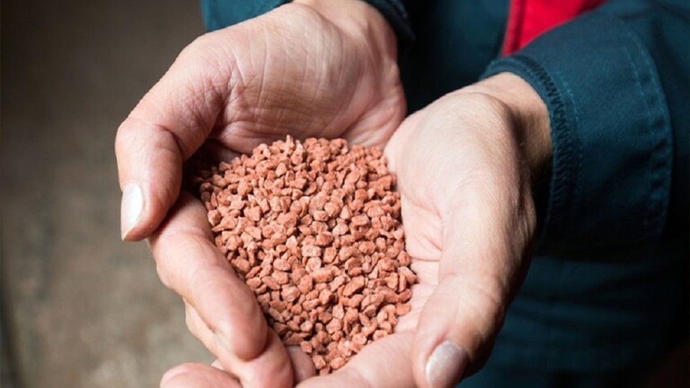 باجة.. اتحاد الفلاحة يدعو إلى توفير الأسمدة