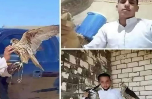 تركوا هذه الرسالة/ نهاية مأساوية لمصريين تاهوا في الصحراء