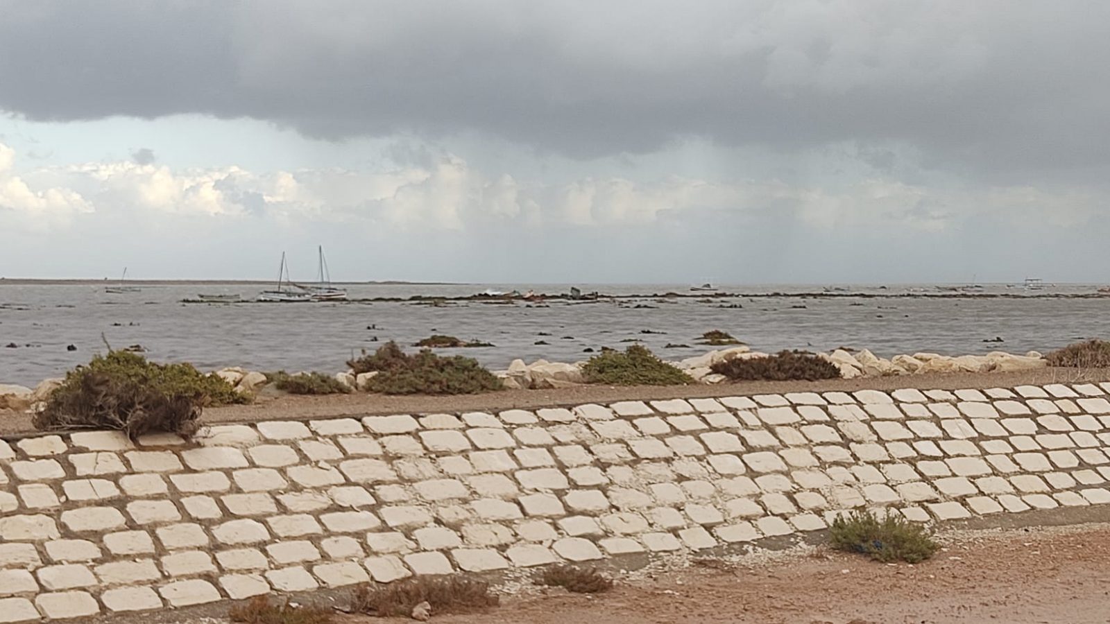 شاهد/ مياه البحر تحتلّ اليابسة وتتسرّب الى المنازل في قرقنة