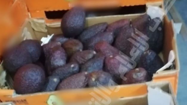 نعسان/ حجز ما قيمته ربع مليار من الغلال بمخزن تبريد (صور)