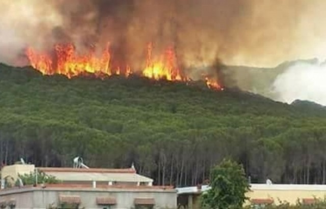 حصيلة الحرائق في جندوبة