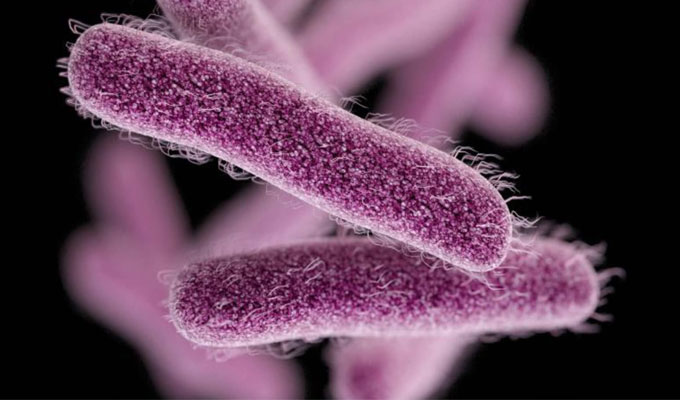 5 إصابات بـ “شيغيلا” في هذه الولاية