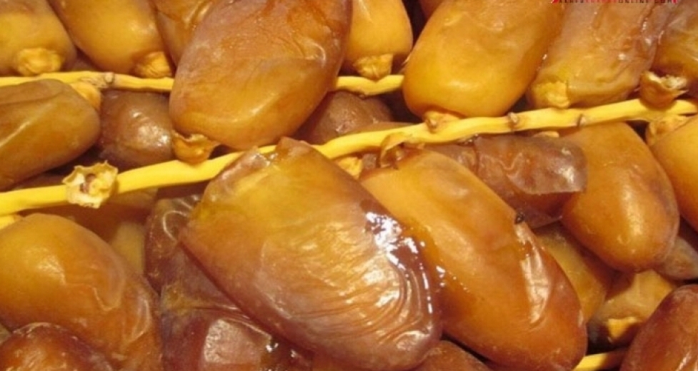 ارتفاع نسبة صادرات التمور التونسية