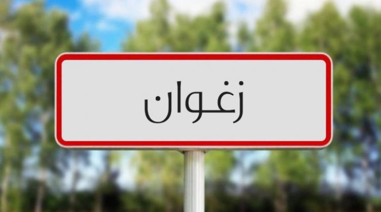 مصدر أمني لـ”تونس الآن”: إيقاف شخص انتحل صفة قاض في زغوان