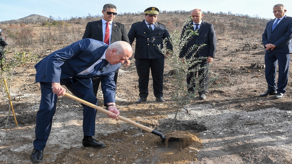 سعيّد: بعض الترشحات للتشريعية أصحابها  ملاحقون من العدالة (فيديو)