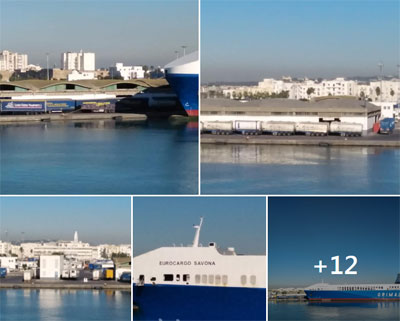 وصفتها بـ”اللا وطنية”/ جامعة النقل تتحدث عن تراخيص مشبوهة