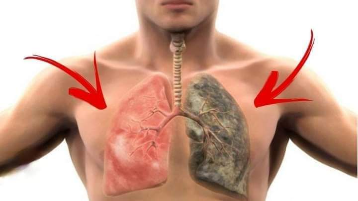 الطّعام الوحيد الذي يحمي الرئتين من آثار التدخين.. احرص على تناوله
