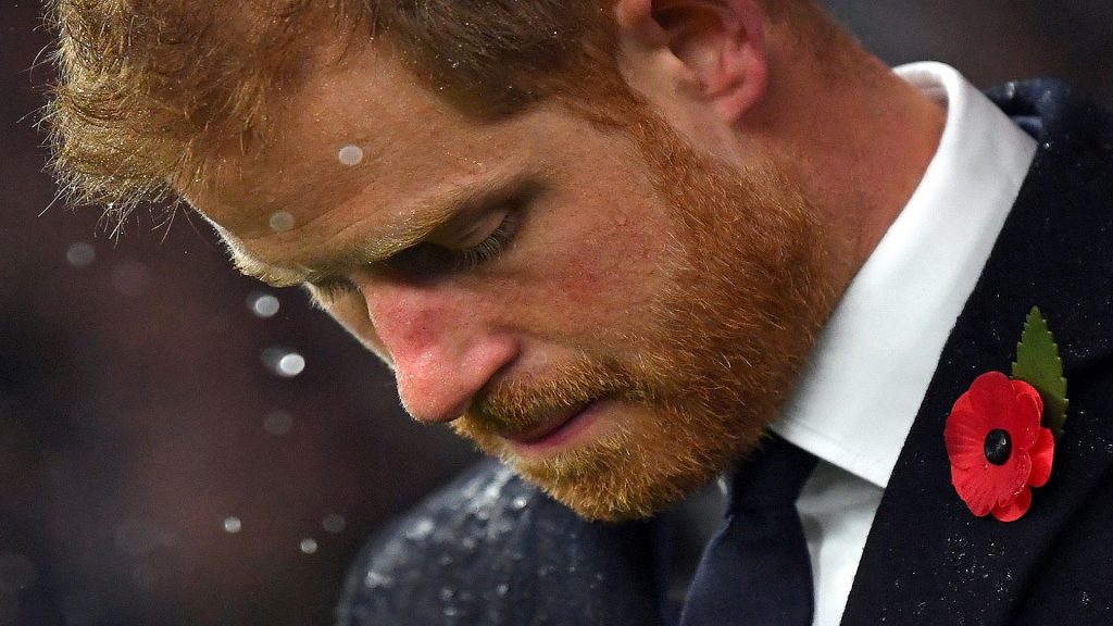 الأمير هاري