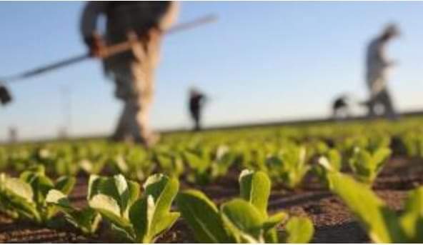 اليد العاملة في ايطاليا