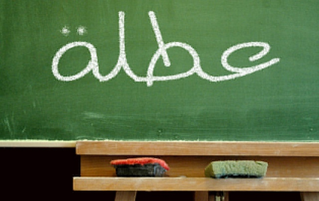 السبت/عطلة استثنائية للتلاميذ والطلبة والمتكونين