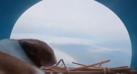 فيديو/ نجاة فأر بعد سقوطه من علو 23 كلم في الفضاء