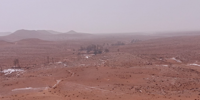 تطاوين تنتعش بنزول الغيث النافع